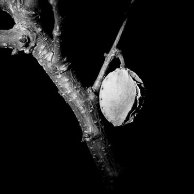 Autres photographies
